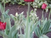 dscn0606