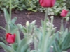 dscn0607