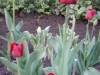 dscn0609