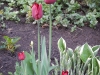 dscn0610