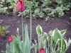 dscn0611
