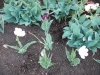 dscn0618