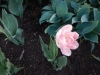 dscn0619
