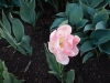 dscn0621