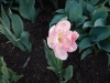 dscn0622