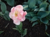 dscn0624