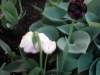 dscn0628