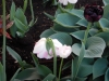 dscn0631