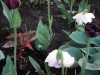 dscn0633