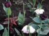 dscn0634