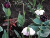 dscn0635