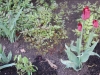 dscn0641