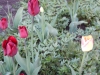 dscn0646