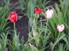dscn0649