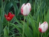 dscn0655