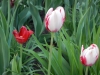 dscn0658