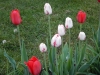 dscn0665