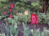 dscn0595