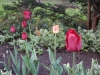 dscn0596