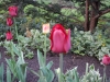 dscn0598