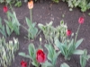 dscn0602