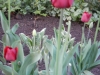 dscn0608