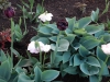 dscn0626