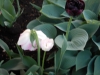 dscn0627