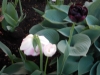 dscn0629