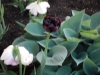 dscn0632