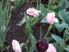 dscn0636
