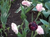 dscn0637