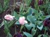dscn0638
