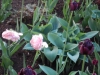 dscn0640