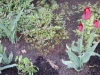 dscn0642