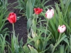 dscn0651