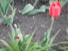 dscn0659