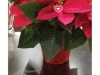 postcardglossyside2