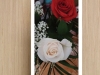 preview2