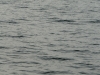 p1070239