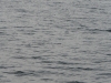p1070240