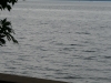 p1070241