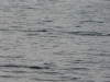 p1070243