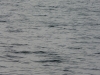 p1070244