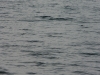 p1070245