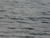 p1070246