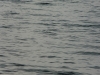p1070247