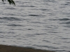 p1070250