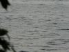 p1070258