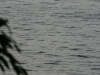 p1070260